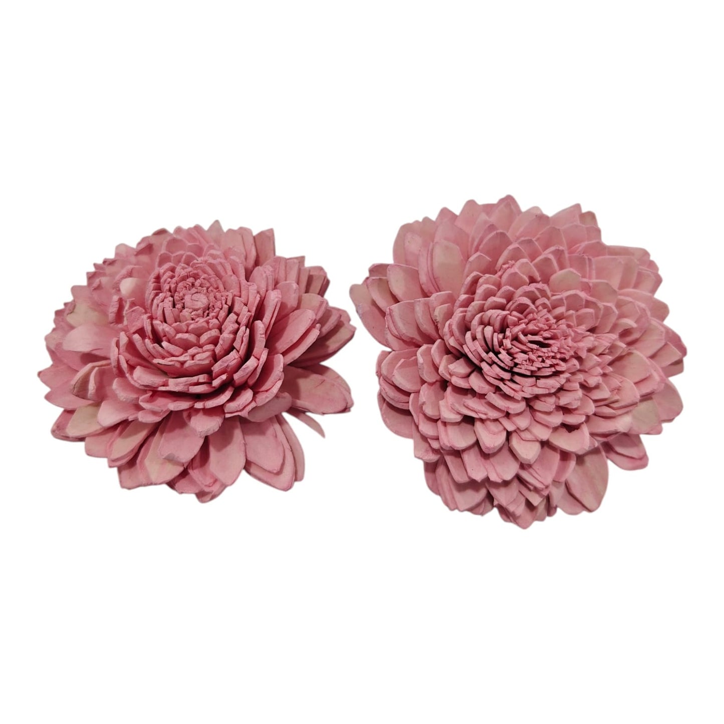 Zinia Flower 8 cm
