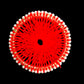 Thread Ring 4 Inch