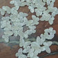 White pearl Butterfly