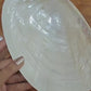 Big Sea Shell