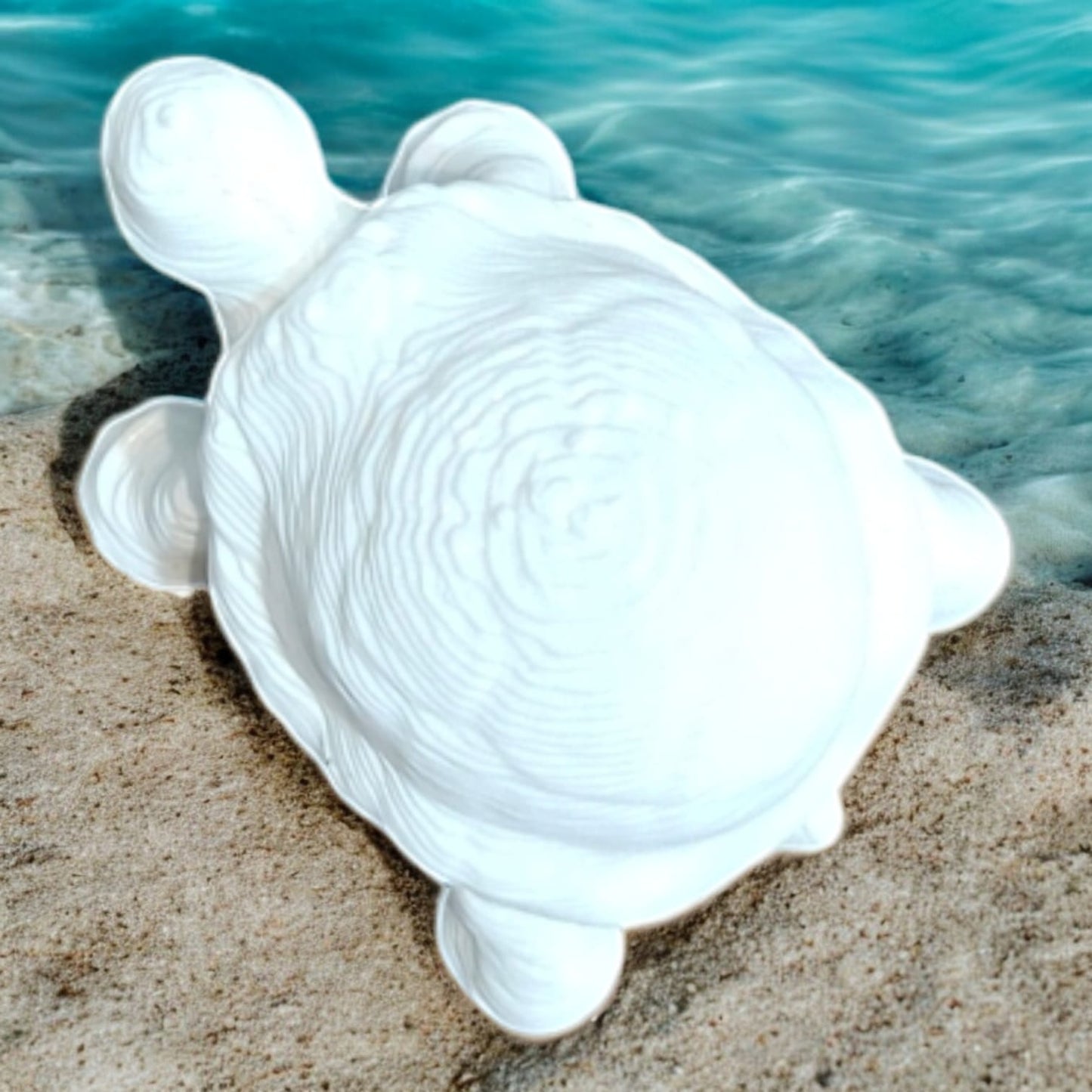 Tortoise